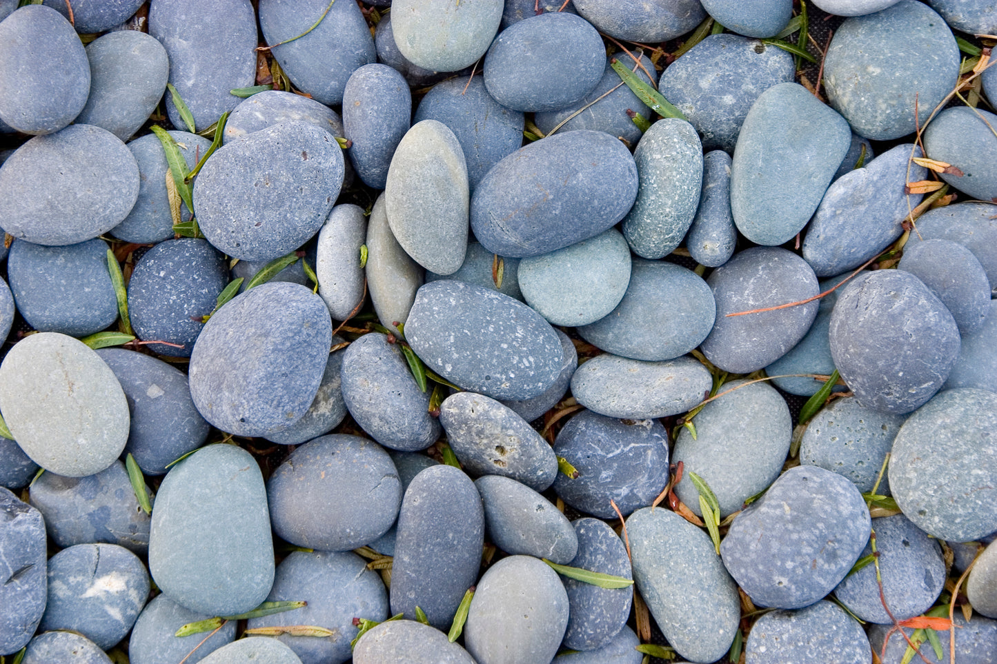 150 Count Box of Stones